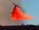 agent orange