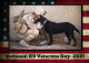 K9 Veterans