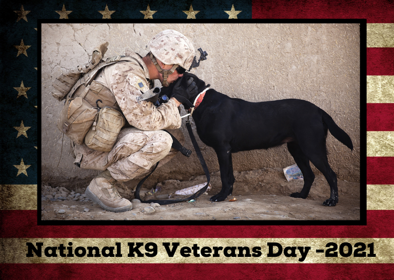K9 Veterans