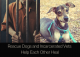 Rescue Dogs and Incarcerated Vets Help Each Other Heal