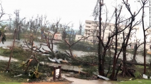 typhoon devastation
